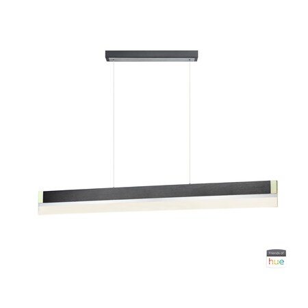 Et2 iBar 1-Light 1" Wide Brushed Black Linear Pendant E35022-83BBK